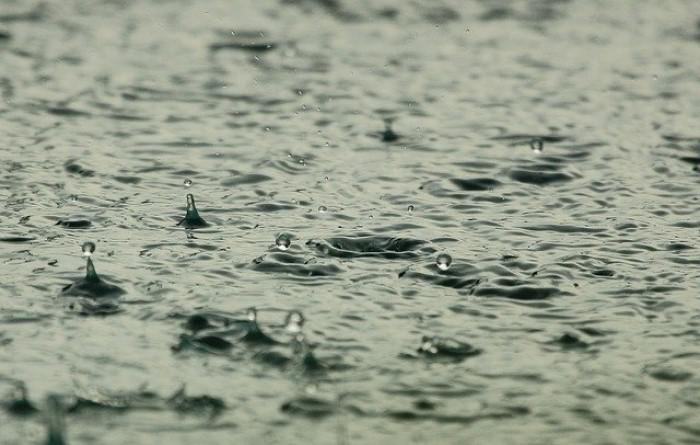 Gliwice rozpoczynają program dotacji do łapania deszczówki