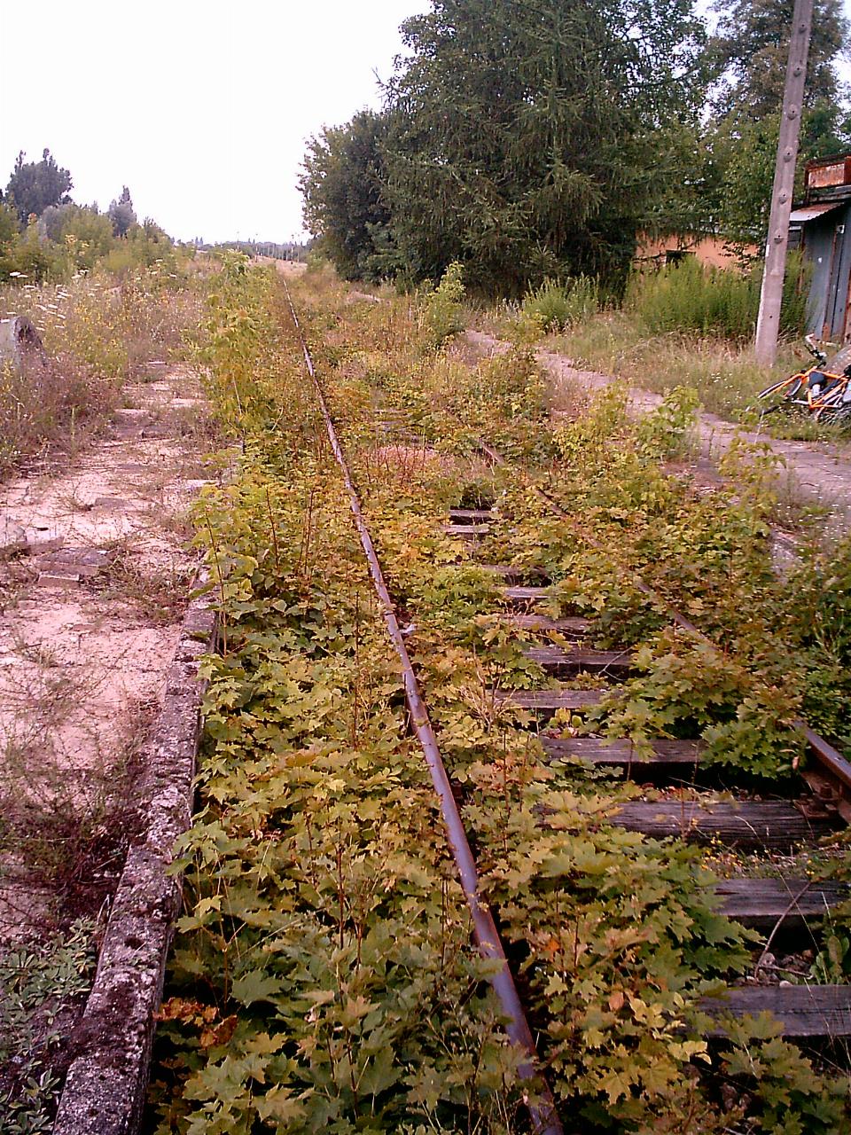 Rewitalizacja kolei na Dolnym Śląsku
