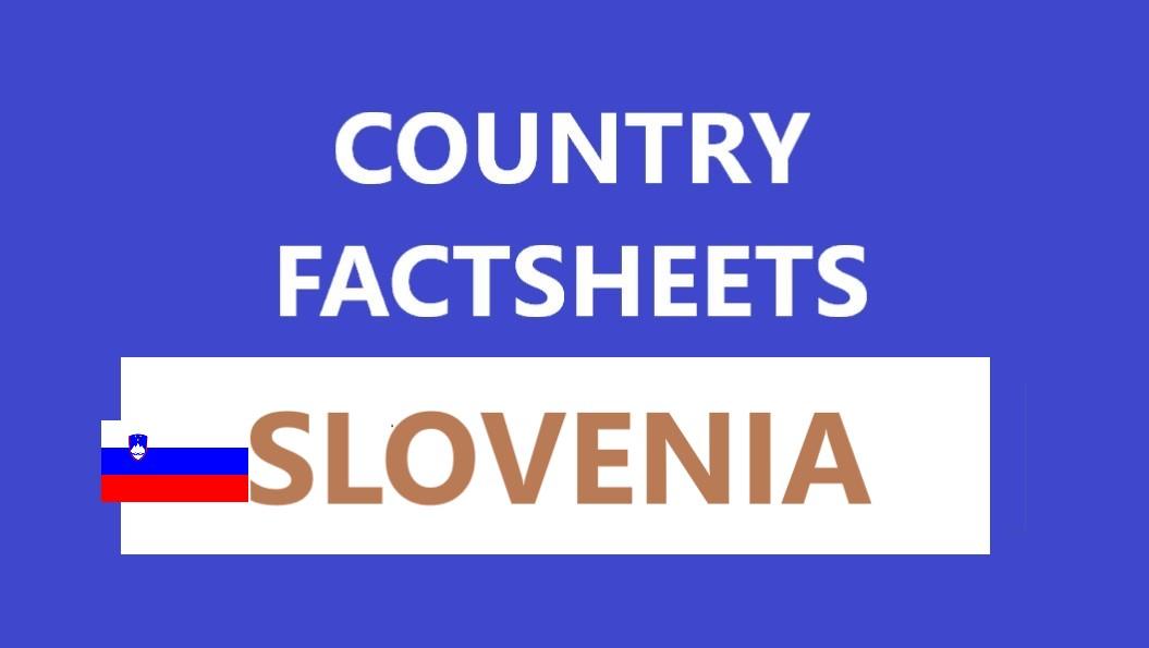 Ocena wdrażania Krajowych Planów Energii i Klimatu - Słowenia